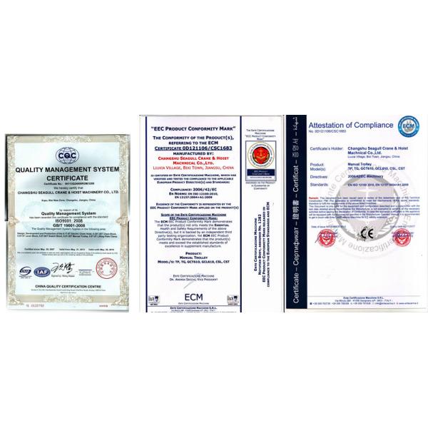 Померанцовая вагонетка тали с цепью GCT610, вагонетка подъема 10 тонн ручная