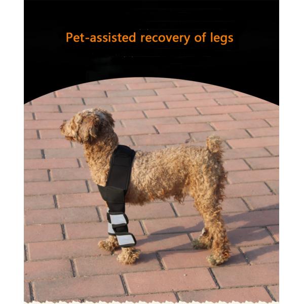 Скакательный сустав спортивные наколенники дышащий противоударный пользовательский наколенник для маленькой собаки