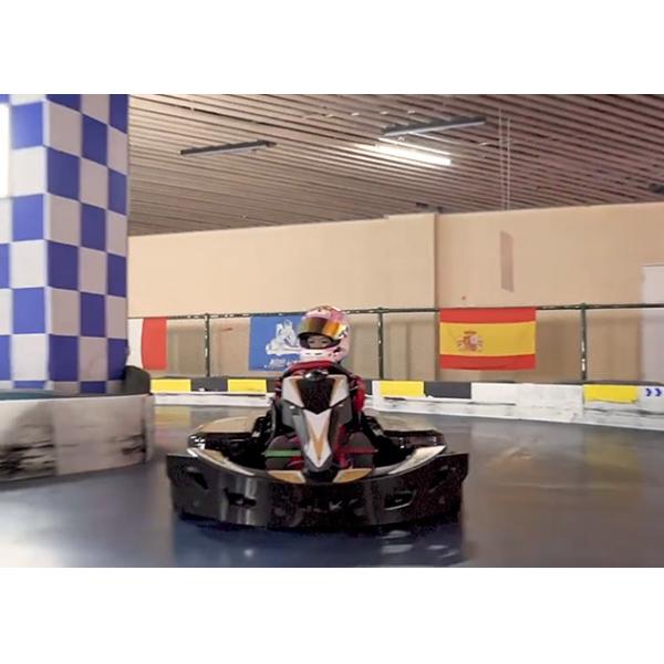 Версия 40Ah 48V s электрическая идет Kart 3500W для парка развлечений
