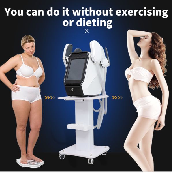 Two Handles Desktop Emslim Machine Fat Loss Body Shaping slim beauty machine