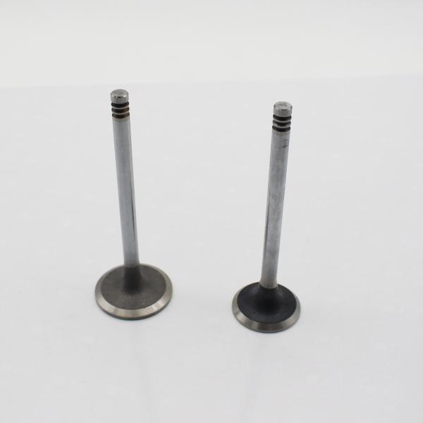 20798699 20798533 Diesel Engine Valve D6D D6E Intake Exhaust Valve For Volvo EC160B EC200B EC210B