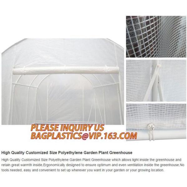 Greenhouse, Agricultural Polyethylene Film, Mulch Films, Horticultural Products, Perforated Wrap, Tomato, Flowers