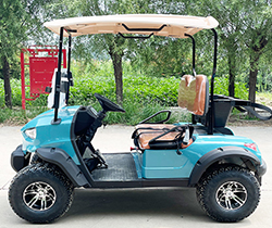 AC Electric Golf Cart with Discounted Bag Push Cart and 10 inch Aluminum Alloy Wheels