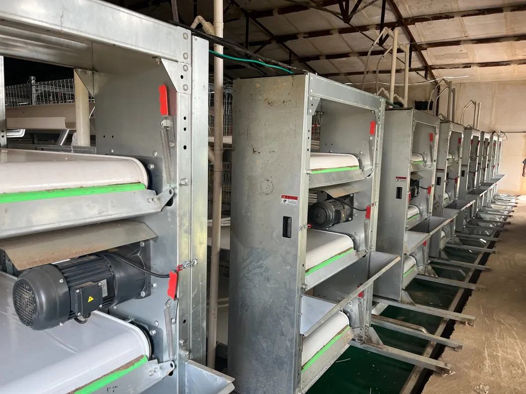 Poultry Farm Automatic Environment Controller Industrial Grade Intelligent Monitoring