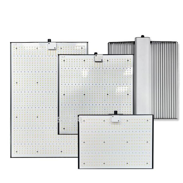 300 Watt Quantum Board Grow Light Full Spectrum LED Panel Grow Light