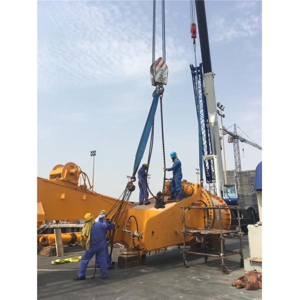Marine Pedestal Ship Crane with Heavy Duty, Easy Maintenance, Overload Protection