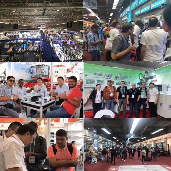 Chips de patata 50 kg/h Fritas fritas congeladas Equipo de blanqueo