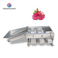 Equipamento de classificação do tambor vegetal do rolo da máquina de classificação do fruto 2.5KW