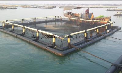 Tilapia Farming Deep Water Aquaculture Cage For 4sq. M To 200sq. M Fish Cages And Fishing Auxiliary Machinery