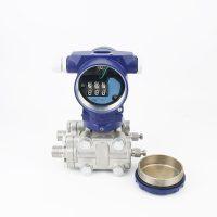 Precision Flow & Level: Measure Minute Pressure Differences for Ultimate Process Control & Efficiency.