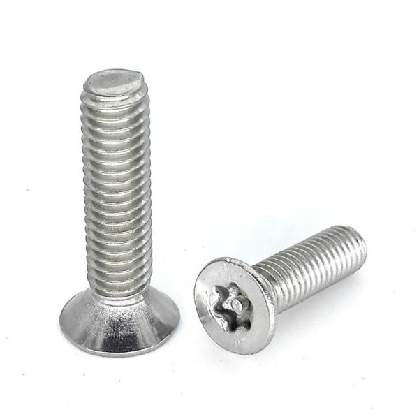 Stainless Steel Flat Torx Head Screw