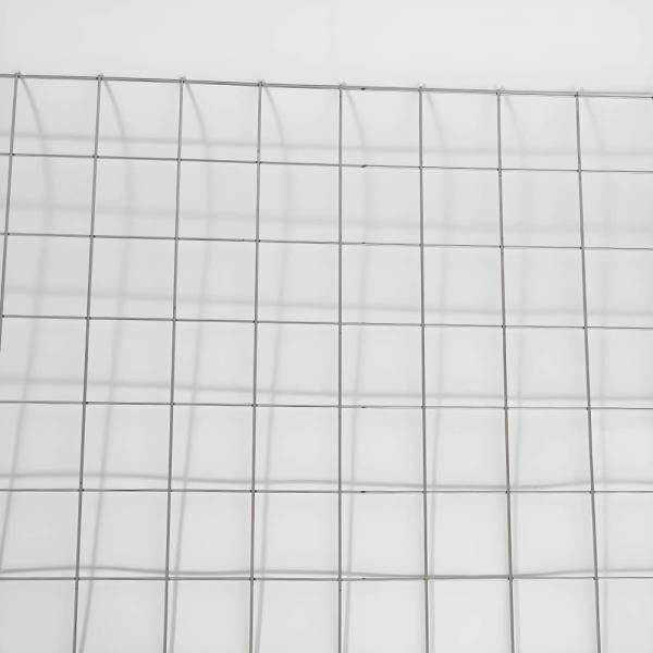 Pre Galvanized Welded Wire Mesh Roll No Rust Low Maintenance 25m 30m 50m Length