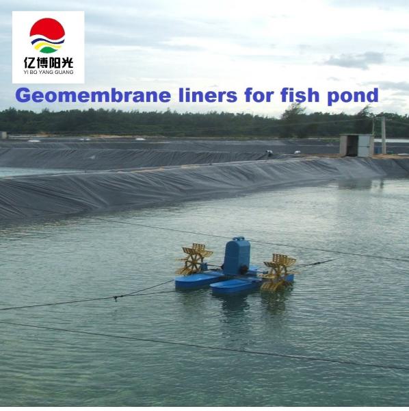 1m-8m Width HDPE Geomembrane Pond Liners for Fish Shrimp Farm Black White Green Blue