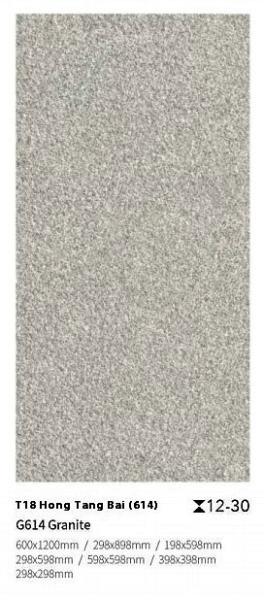ISO9001 Carreaux de revêtement de sol rouges 400x400x30 mm pour la cour