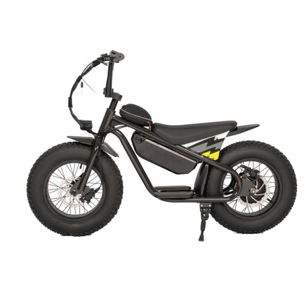 16 Inch Aluminum Alloy Frame Kids' Balance Bikes Light and Seat Included for Children
