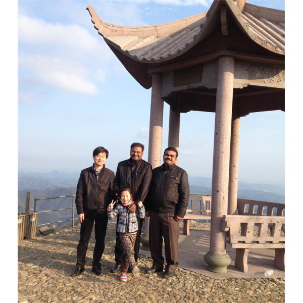 Qsm11 Ism11 M11 Cummins Дизельные инжекционные насосы 3090942 3417674 4954876 4954877