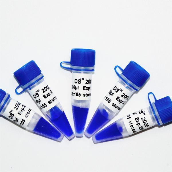 Escada 2000 do marcador do ADN do DS M1101 (50μg) /M1012 (50μg×5)