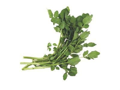 Nasturtium P.E./ Watercress Extract, stop coughing, diuresis, beneficial to brain, treat dysphoria, 10:1, herbs extract