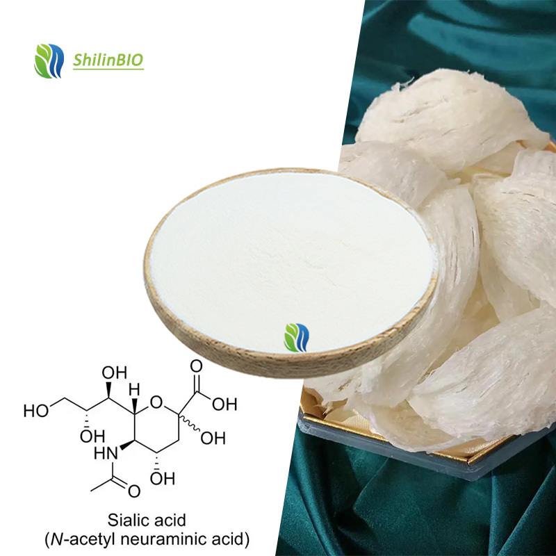 SLBIO Nutrition Supplement Bird's Nest Acid Powder 98% Sialic Acid CAS 131-48-6