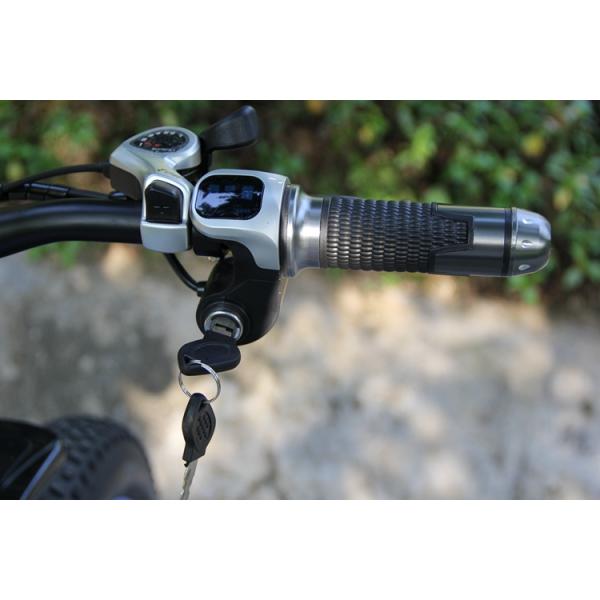 Max Speed 35 Km / h 500 Watt 26 Inch Folding Fat Tire Electric Bike with Full Suspension