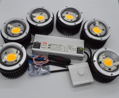 300W CXB3590  DIY Grow Light  with Lens Solution Applicated for Growing Cabinnis and Flowers