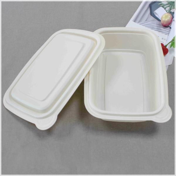 Disposable Takeaway Lunch Box With Lid Made Of Bioplastic, Factory Offered Corn Starch PP Food Packaging Container