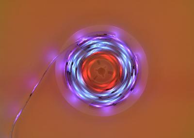 Luz de tira do diodo emissor de luz de Chip Magic Waterproof do destaque do FCC DC12V 5A