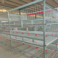 Tipo galvanizado quente sistema bebendo de H das aves domésticas da gaiola da grelha