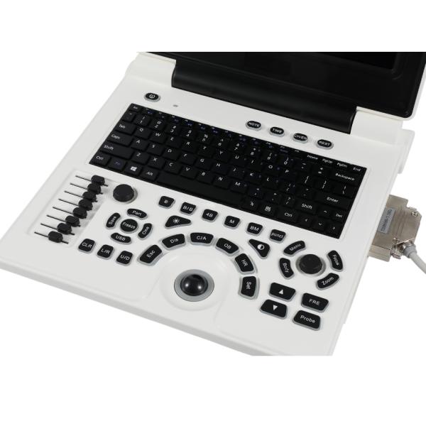 Black&white Portable Medical Ultrasound Scanner Machine for Vet Use