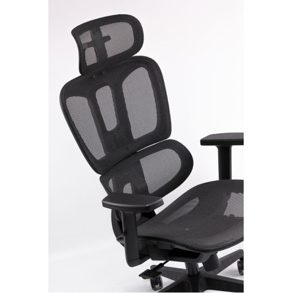 Ergonomic Office Executive Chair with Adjustable Lumbar Support Breathable Mesh Back and Comfortable Seat for Long Hours