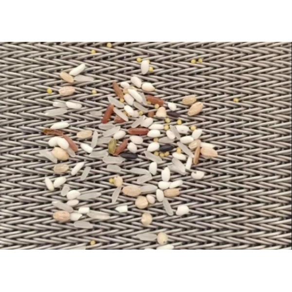 304ステンレス鋼のコンベヤーの混合物の釣り合ったベルトを乾燥するナット