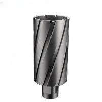 Profondeur de coupe de 75 mm, coupeuse annulaire à pointe de carbure avec diamètre de coupe de 30 mm