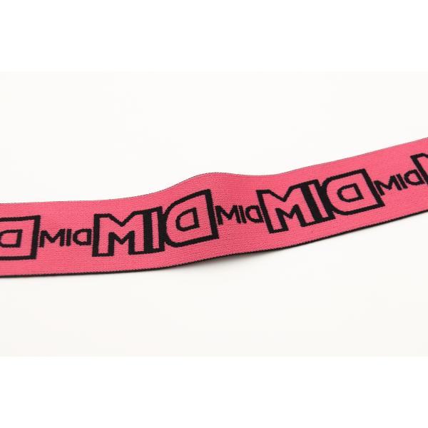 Factory Underwear Waistband Soft Durable Jacquard Ribbon Customized Pattern Color Elastic Band webbing tape