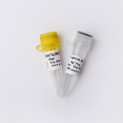Fast Restriction Endonuclease BglII