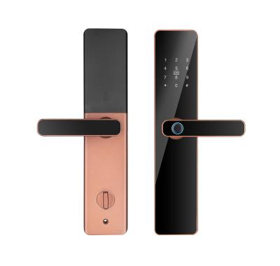Impressão digital biométrica de escritório Password Key Card WIFI BLE Smart Door Lock Qleung S819