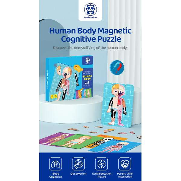 Модель человеческого тела реалистический человеческий дисплей анатомии забавляется 48 частей ранг 3+ возрасты 8+