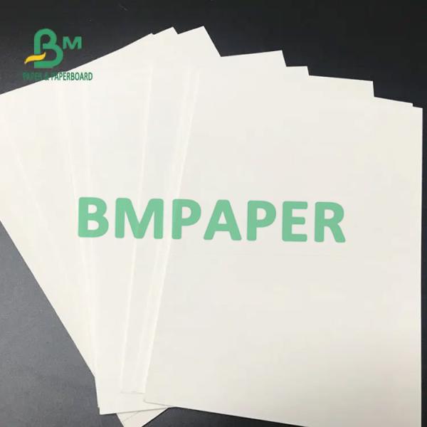 Virgin Wood Pulp Coaster Board 0.7mm 0.8mm 1.0mm 1.2mm 70cm X 100cm 50cm X 100cm Palletized Sheets