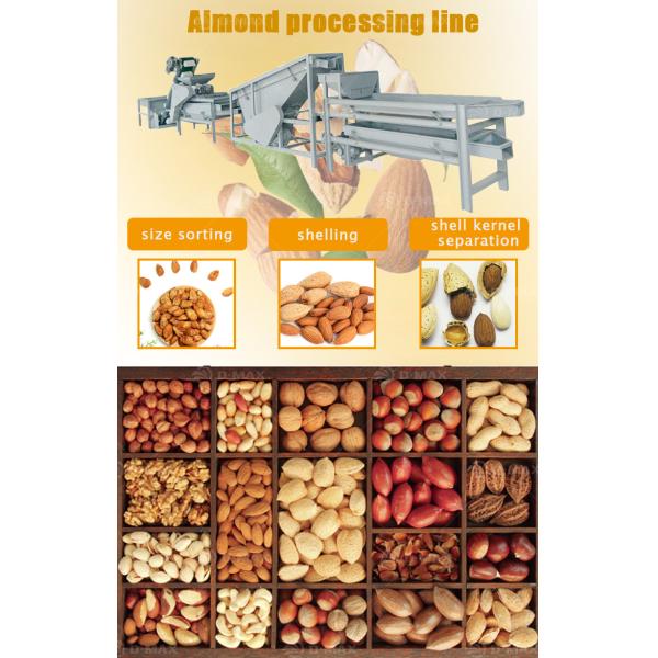Upgrade Your Nut Processing with Our Hazelnut Cracker and Pistachio Shelling Machine