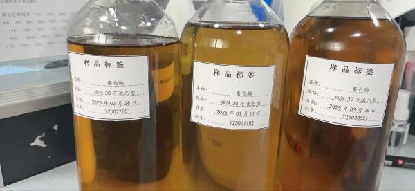 Technologie de production de la protéase alcaline par fermentation microbienne avec conditions de stockage à sec