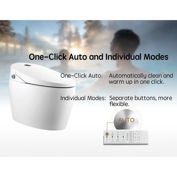 Advanced Function Automatic Deodorization Toilet Integrated Multi-Function Luxury with S-trap Drainage and Remote Control