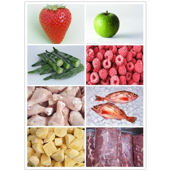 100kg/H SS304 Quick Freezer Vegetables Food Freezing Machine