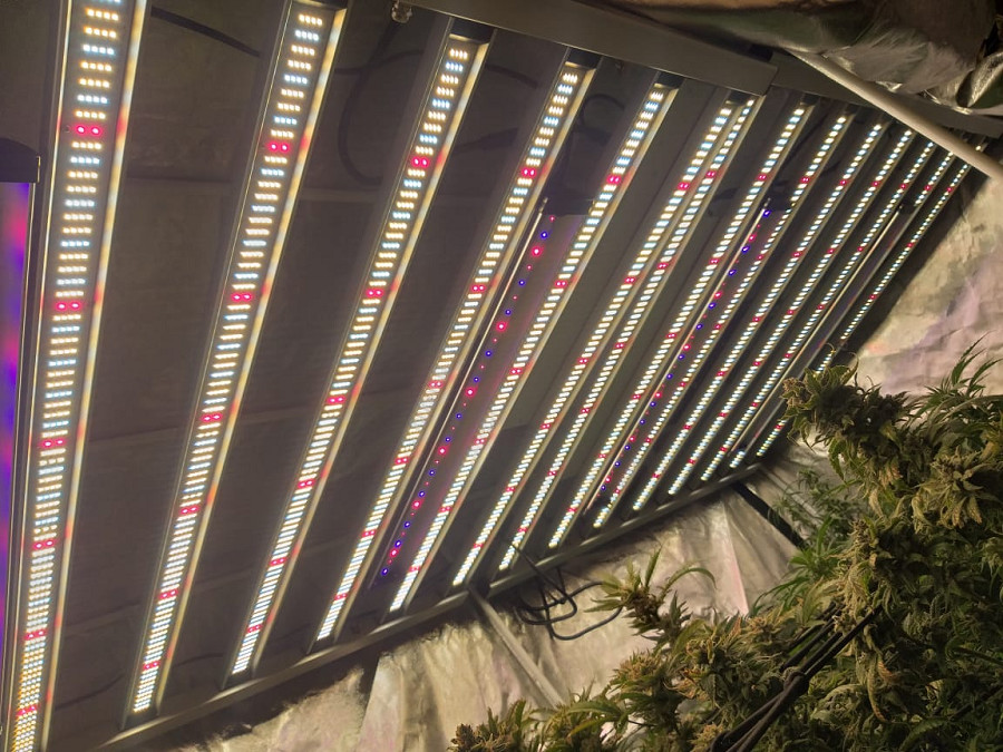СИД садоводства 1500W растет светлый Samsung LM301H Osram 660nm 730nm