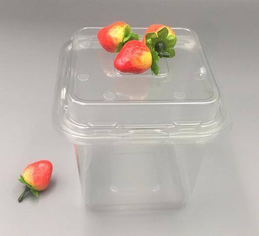 Blister Fast Food Disposable Plastic Containers Fruit Box Pet Plastic Fruit Packaging