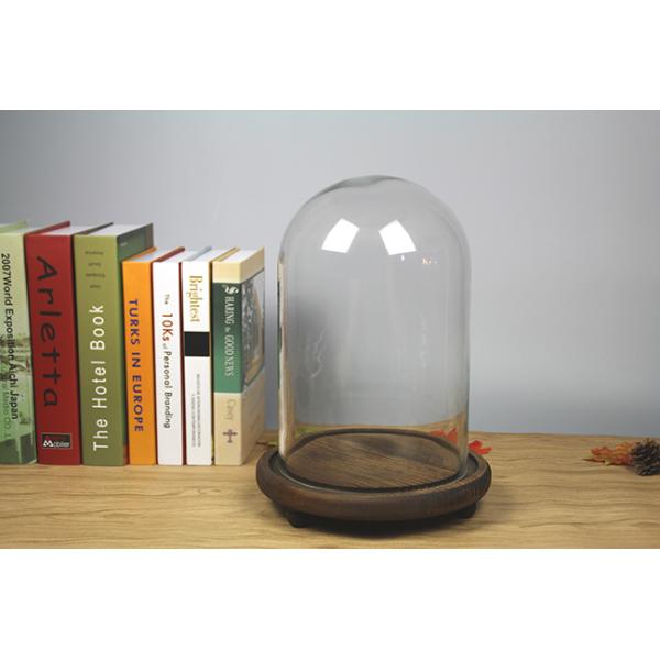 Preserved Rose Display Glass Homeware Cloche Cover with Black Wooden Base