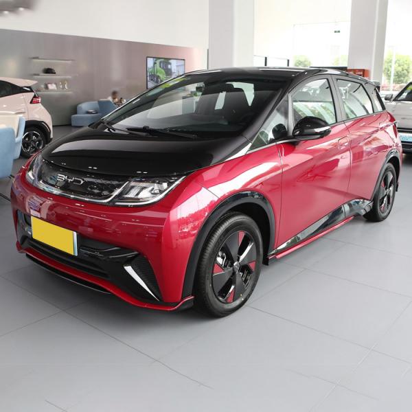 AWD BYD Dolphins EV All Electric Vehicle PHEV Custom