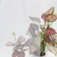 Réseau de protection contre les insectes en fibre de verre durable / Réseau anti-moustiques en fibre de verre pour les maisons sans ravageurs