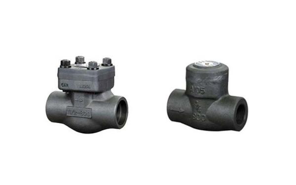 Bolted Bonnet Vertical Lift Check Valve SS304 Flexible Graphite Material Gasket
