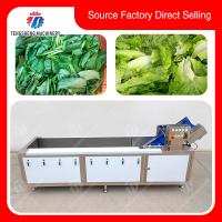máquina de lavar das frutas e legumes da injeção da difusão de 380V 240KG fácil de operar