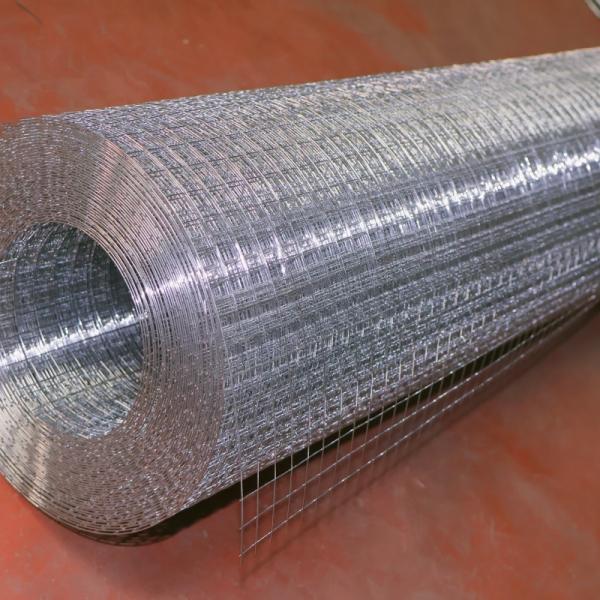 1/2X1/2 Galvanized Welded Wire Mesh Rolls For Garden Fence
