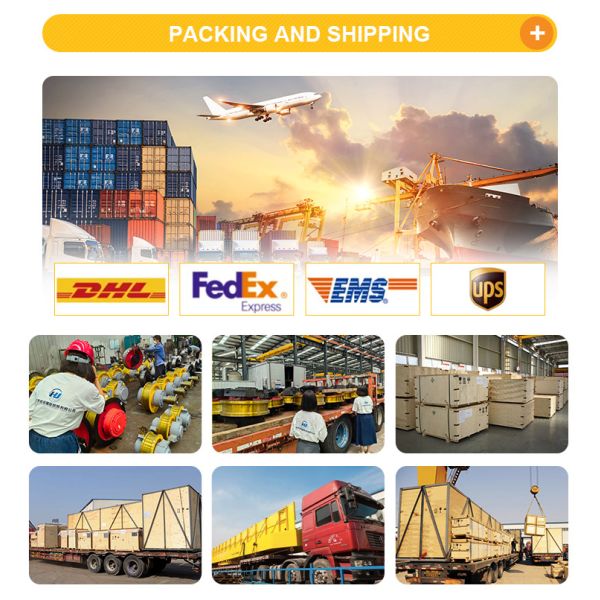 Remote Control Electric Chain Hoist with 20t Load Capacity and OEM Customization for Industrial Use